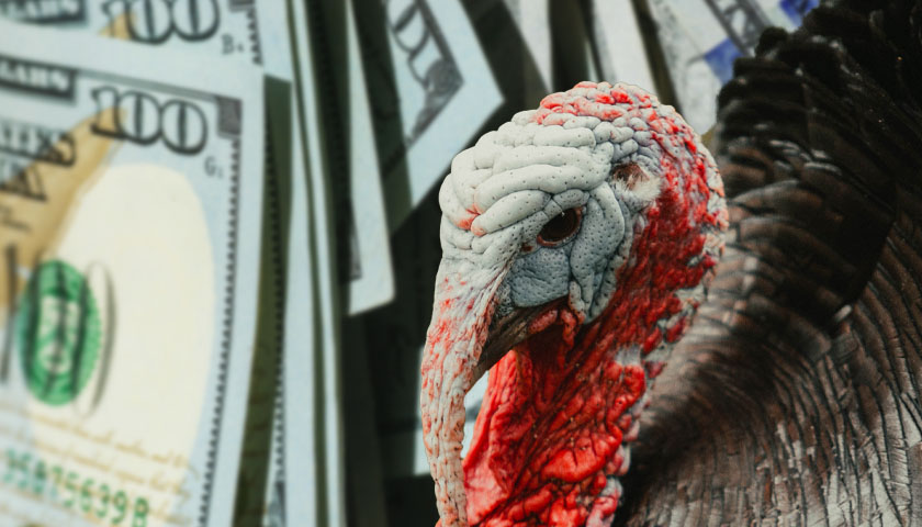 Turkey with $100 bills in the background