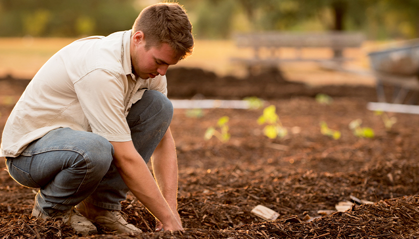 Man in white shirt and jeans planting seeds in the ground of a garden