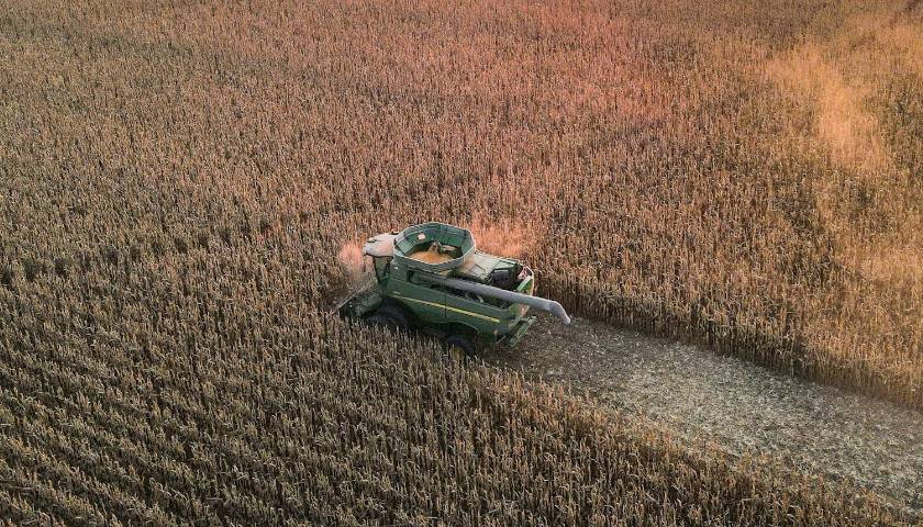 Farmer Working