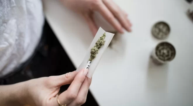 Floridians Reject Recreational Marijuana, Abortion Rights